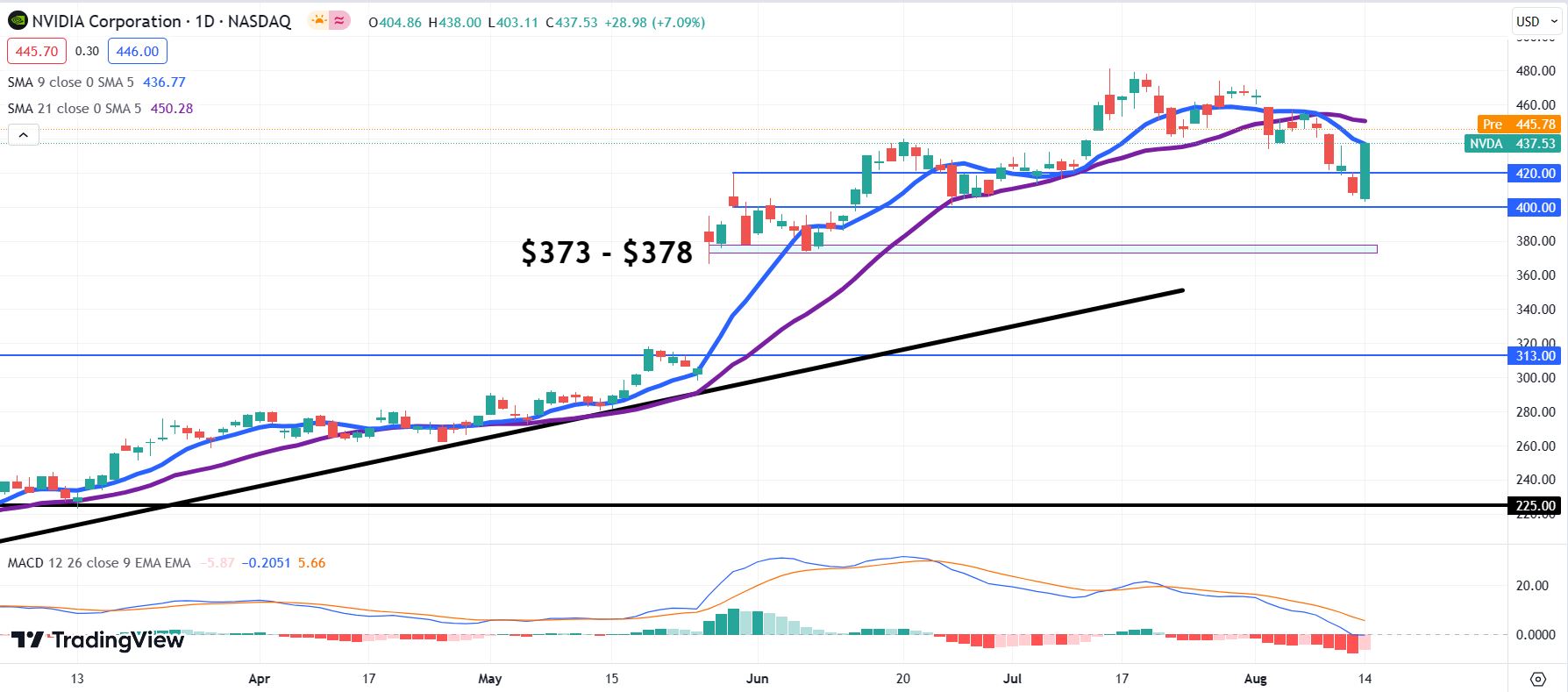 Nvda 2025 premarket trading